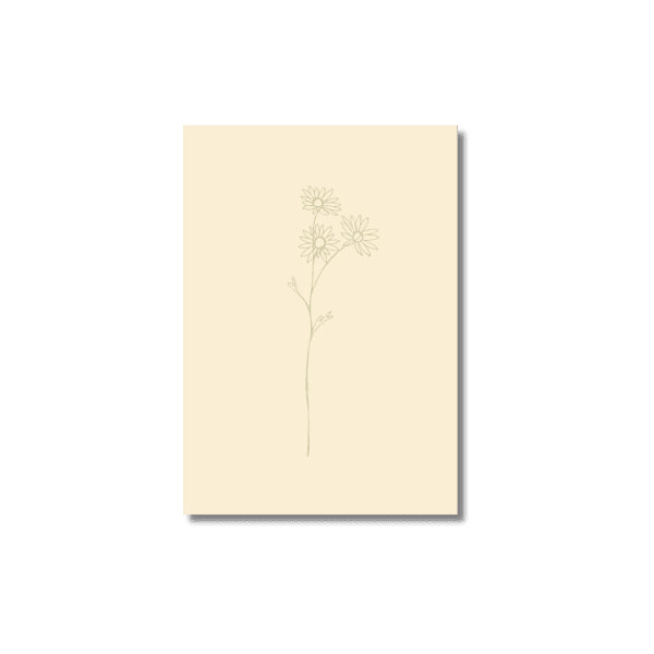 Ansichtkaart geboortebloem september | Aster